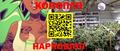 Альфа ПВП Чапаевск